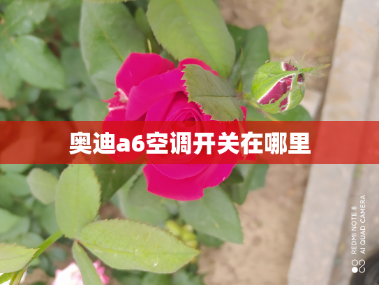 奥迪a6空调开关在哪里