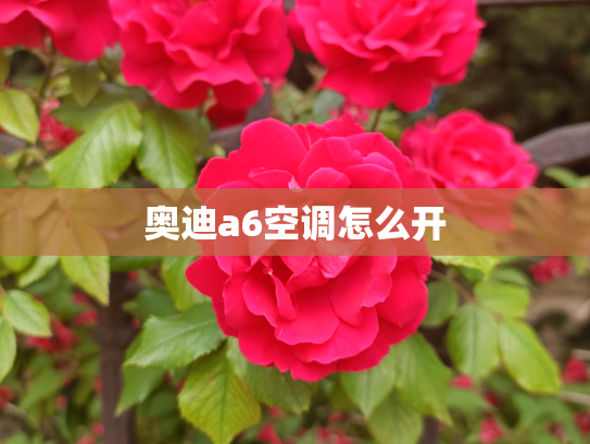 奥迪a6空调怎么开