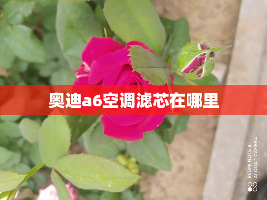 奥迪a6空调滤芯在哪里