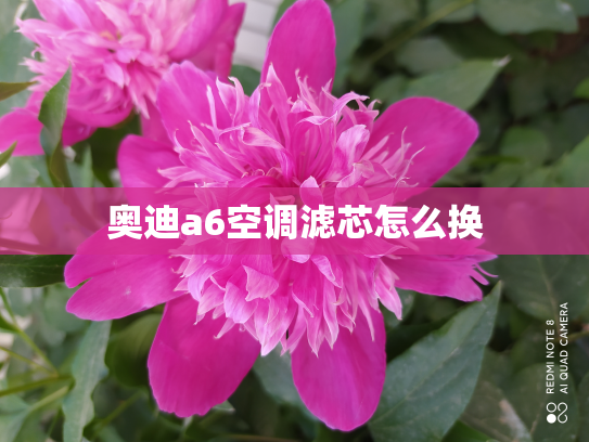 奥迪a6空调滤芯怎么换