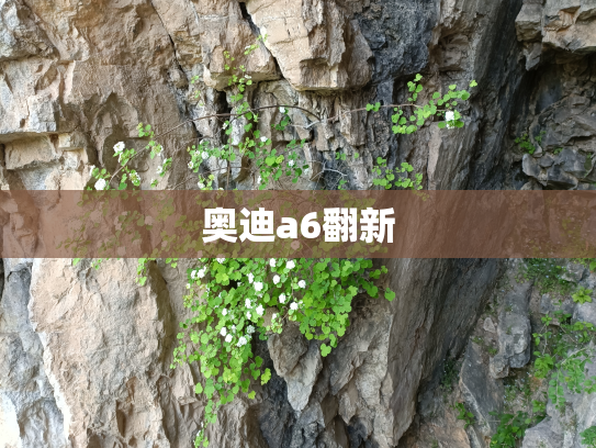 奥迪a6翻新