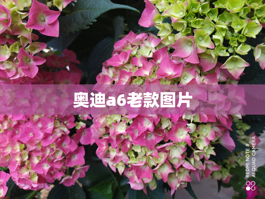 奥迪a6老款图片