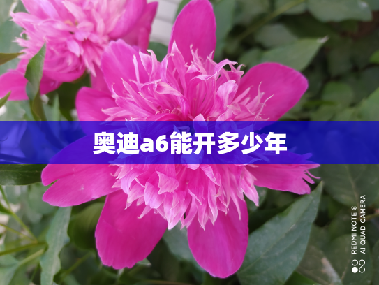 奥迪a6能开多少年