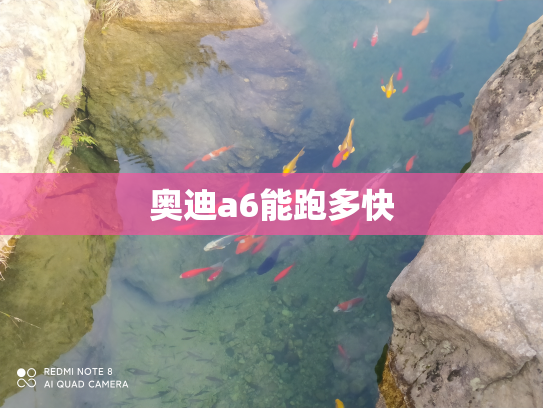 奥迪a6能跑多快