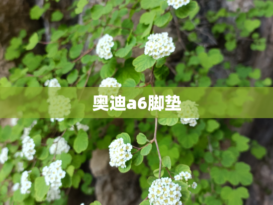 奥迪a6脚垫