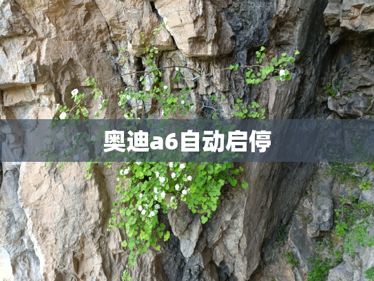 奥迪a6自动启停
