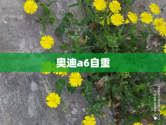 奥迪a6自重