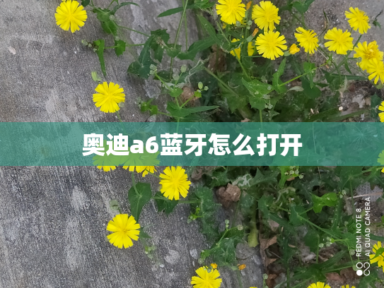 奥迪a6蓝牙怎么打开
