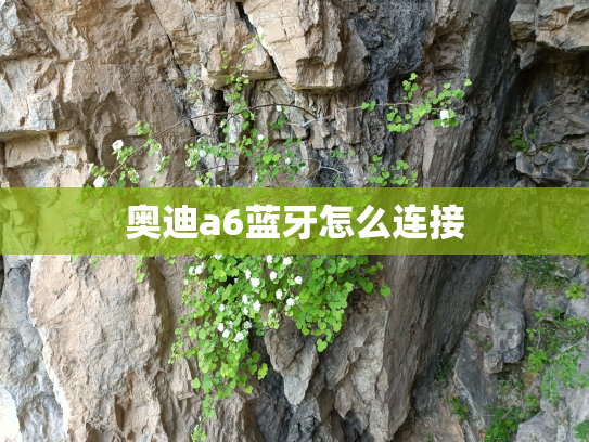 奥迪a6蓝牙怎么连接