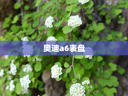 奥迪a6表盘