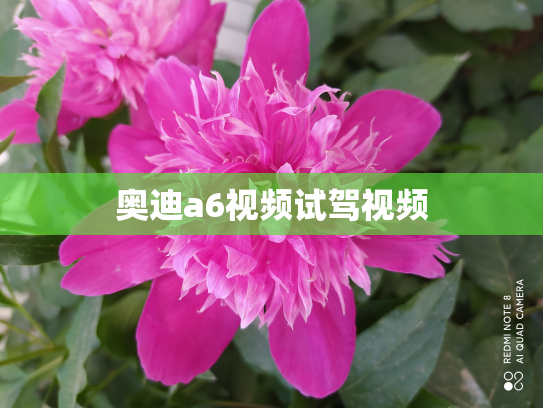 奥迪a6视频试驾视频