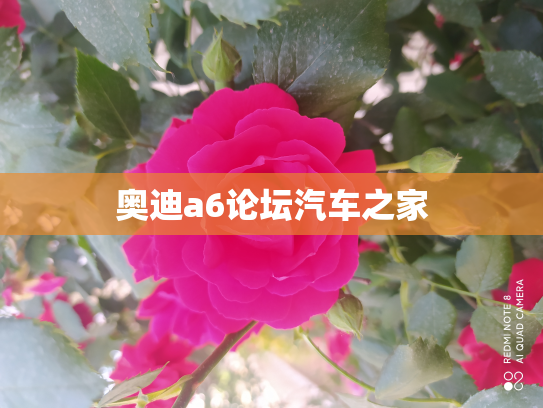 奥迪a6论坛汽车之家