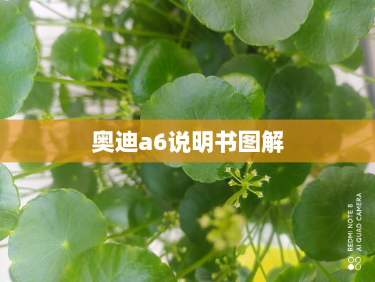 奥迪a6说明书图解