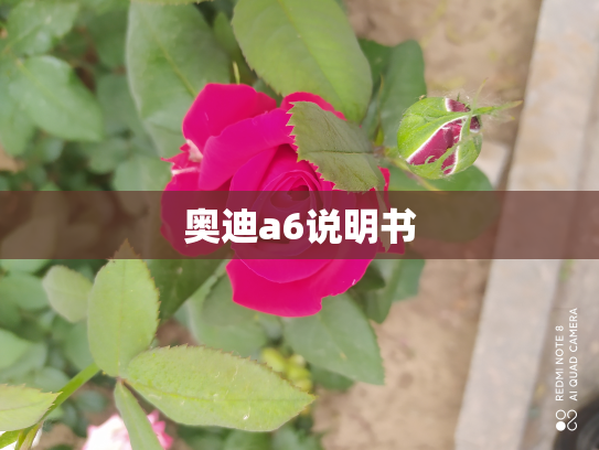 奥迪a6说明书