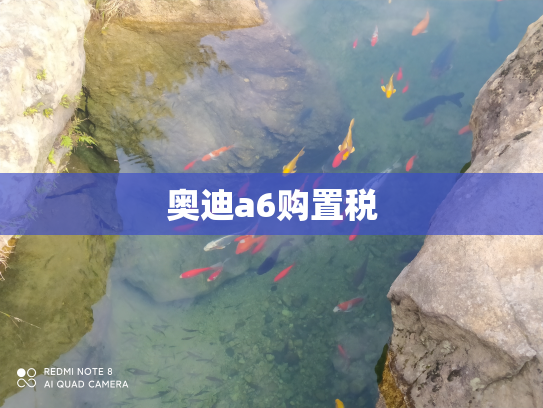 奥迪a6购置税