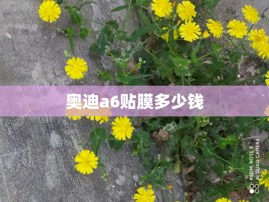 奥迪a6贴膜多少钱