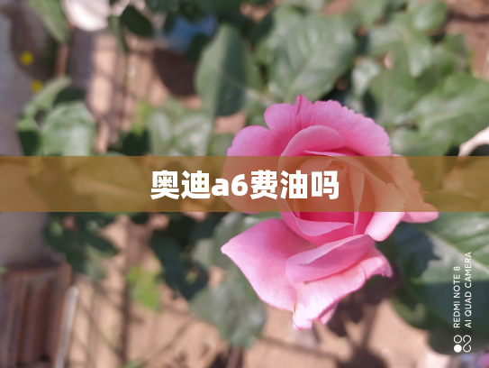 奥迪a6费油吗