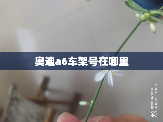 奥迪a6车架号在哪里