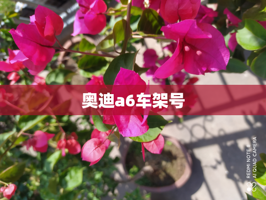 奥迪a6车架号