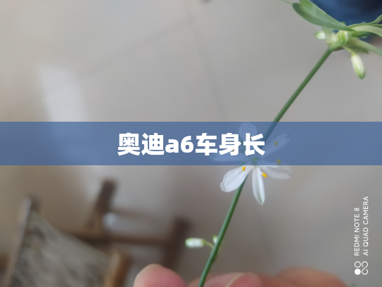 奥迪a6车身长