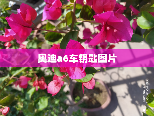 奥迪a6车钥匙图片
