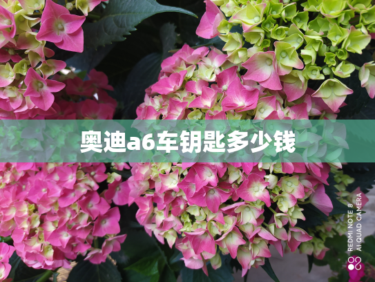 奥迪a6车钥匙多少钱