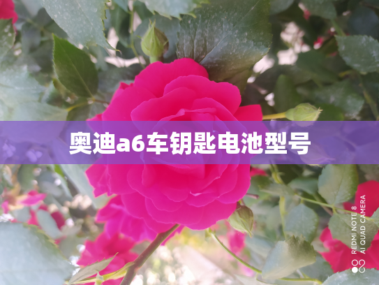 奥迪a6车钥匙电池型号