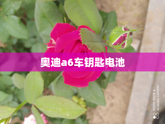 奥迪a6车钥匙电池