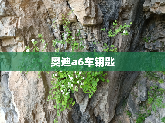 奥迪a6车钥匙