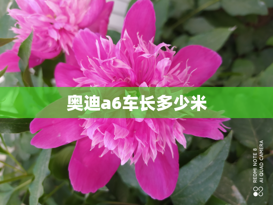 奥迪a6车长多少米