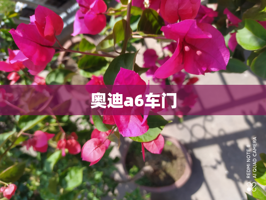 奥迪a6车门