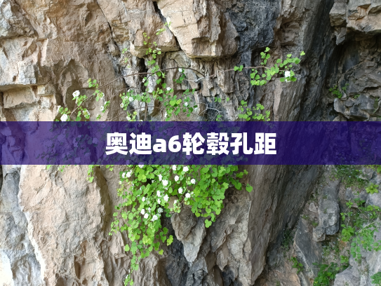 奥迪a6轮毂孔距