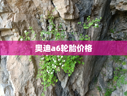 奥迪a6轮胎价格