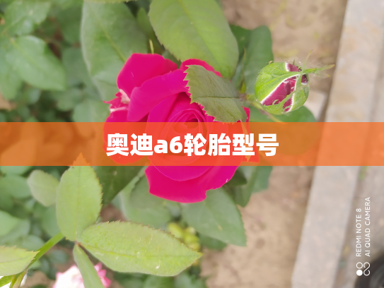 奥迪a6轮胎型号