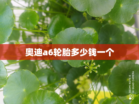 奥迪a6轮胎多少钱一个
