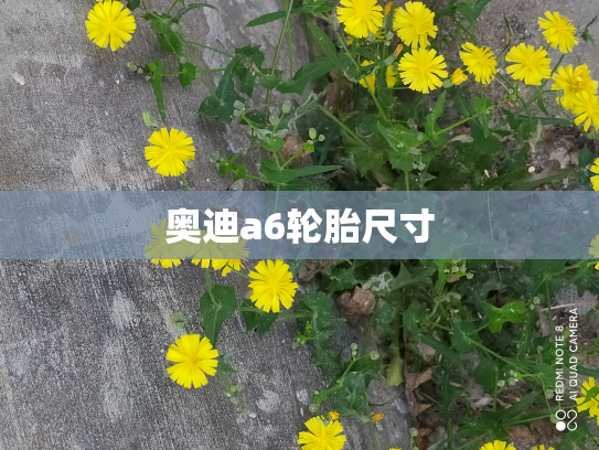 奥迪a6轮胎尺寸