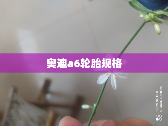 奥迪a6轮胎规格