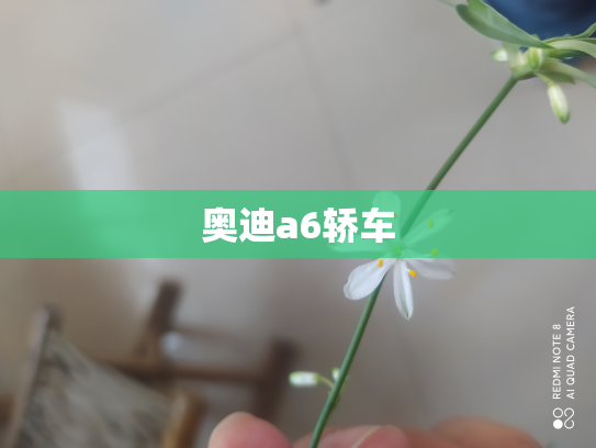 奥迪a6轿车