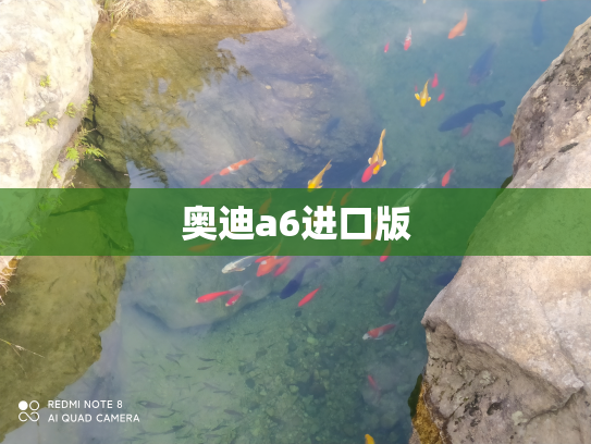 奥迪a6进口版