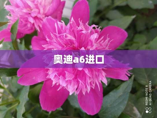 奥迪a6进口