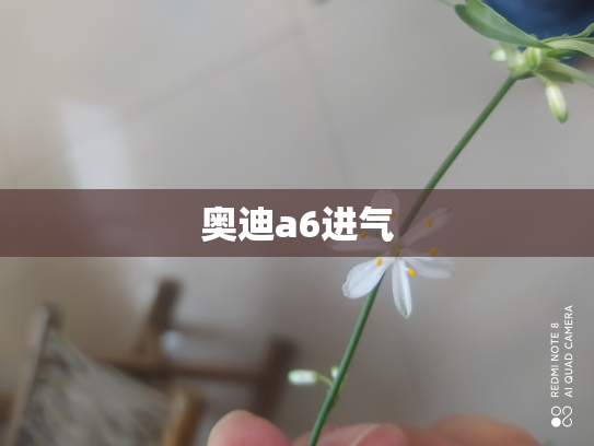 奥迪a6进气