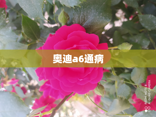 奥迪a6通病