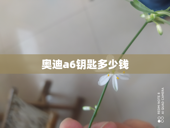 奥迪a6钥匙多少钱