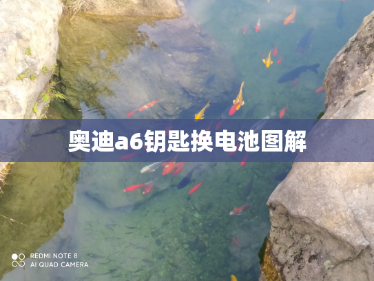 奥迪a6钥匙换电池图解