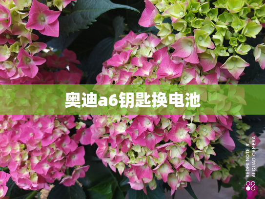 奥迪a6钥匙换电池
