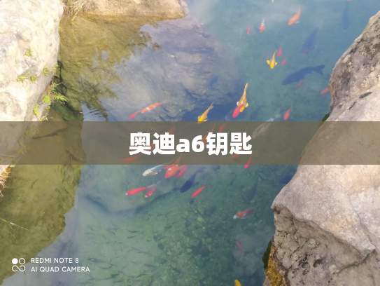 奥迪a6钥匙