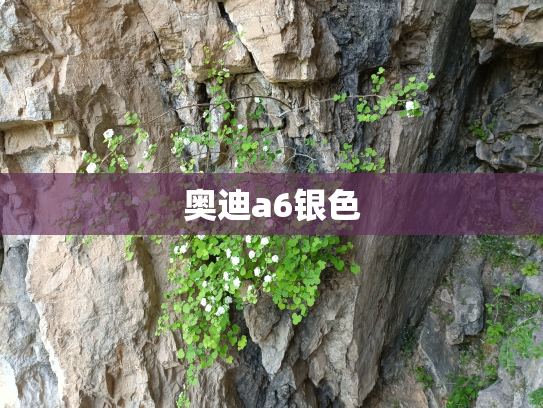 奥迪a6银色