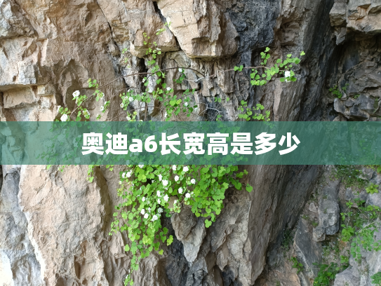 奥迪a6长宽高是多少