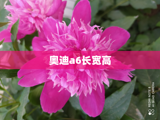 奥迪a6长宽高