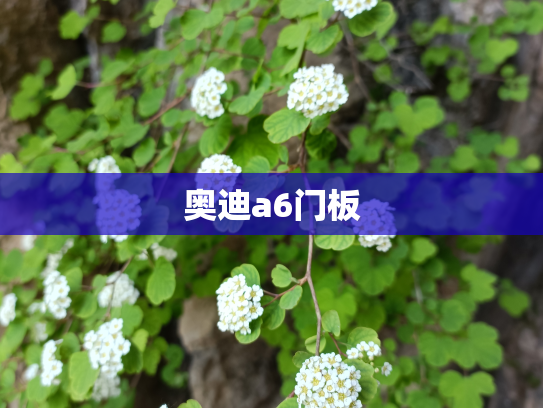 奥迪a6门板